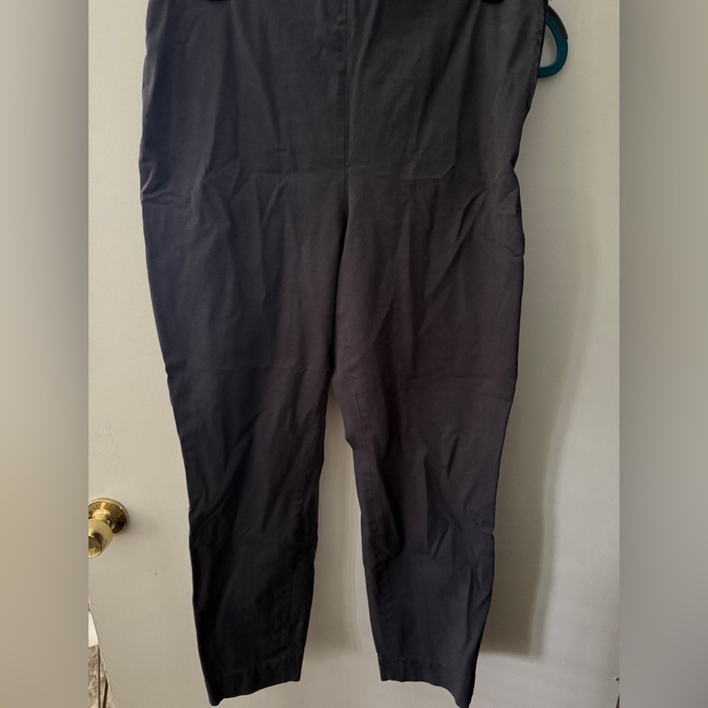 Everlane Blue Gray Women's Pants